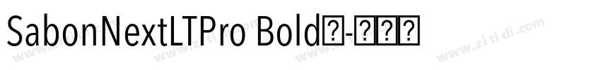 SabonNextLTPro Bold◆字体转换
